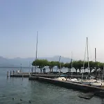 Corteolivo