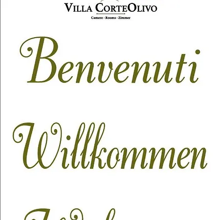 Πανσιόν Corteolivo Torri Del Benaco