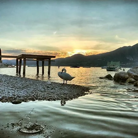 Corteolivo Πανσιόν Torri Del Benaco