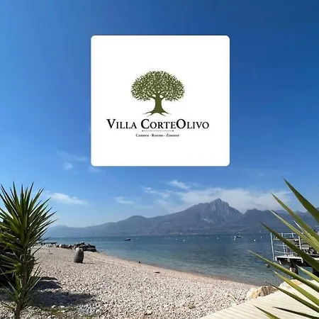 Corteolivo *